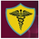 Bharat College of Nursing logo